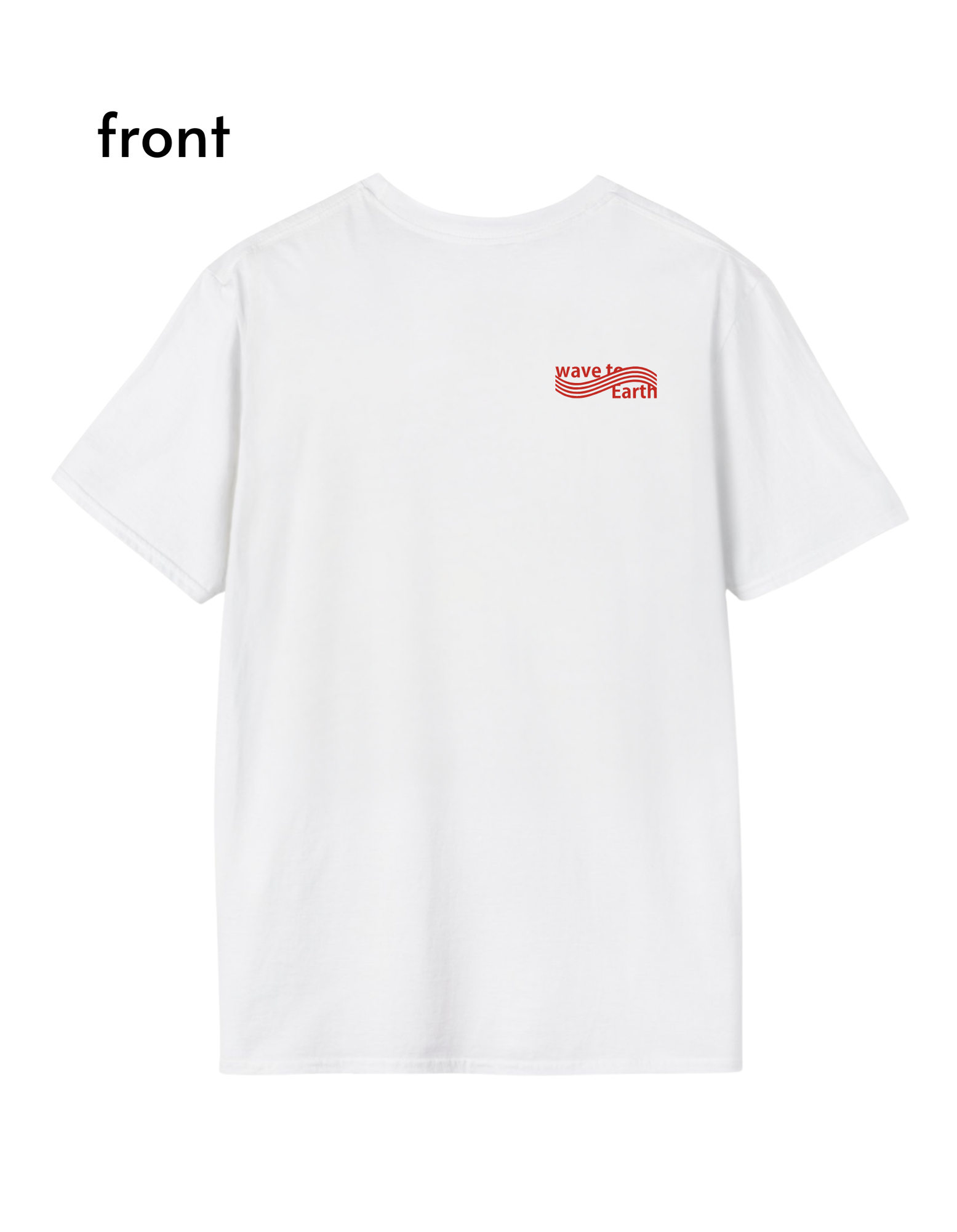 Flaws and All Asia & EU tour T-Shirt