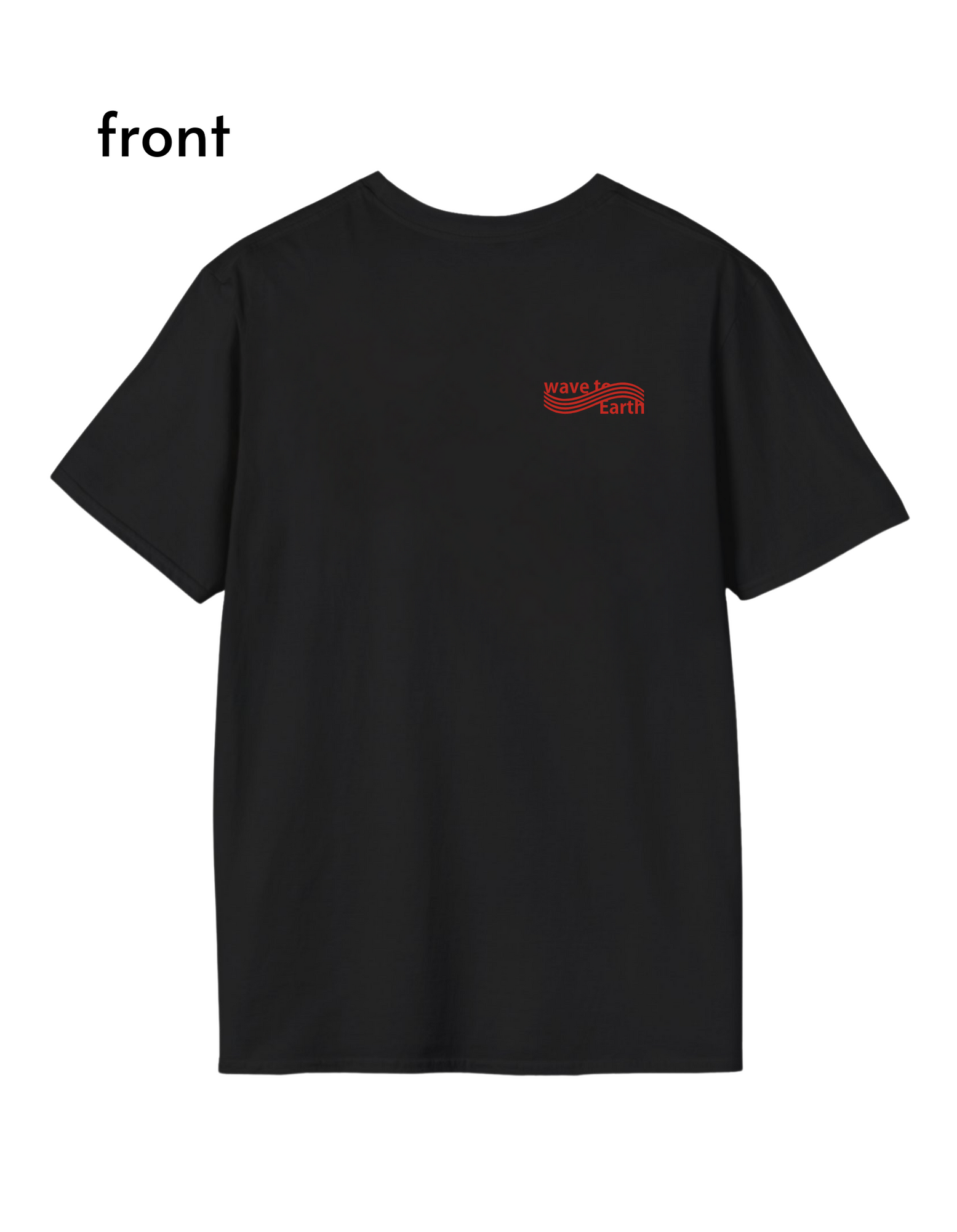 Flaws and All Asia & EU tour T-Shirt