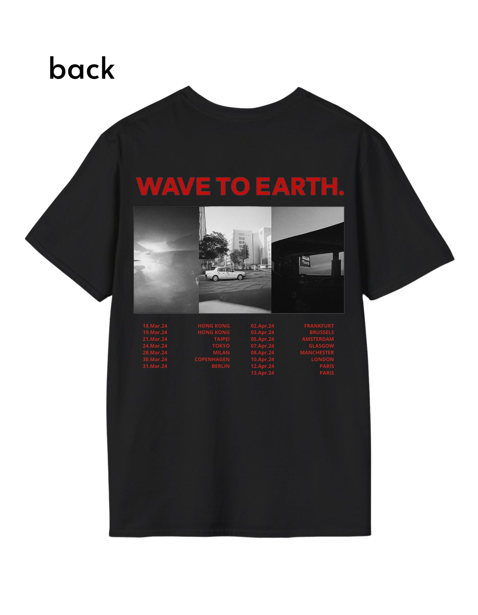Flaws and All Asia & EU tour T-Shirt