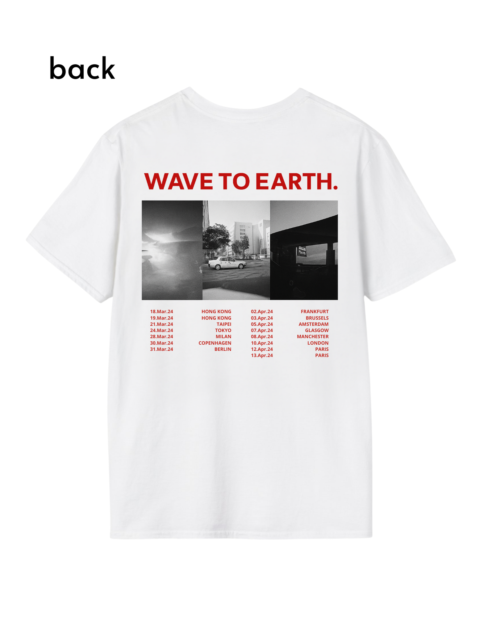 Flaws and All Asia & EU tour T-Shirt